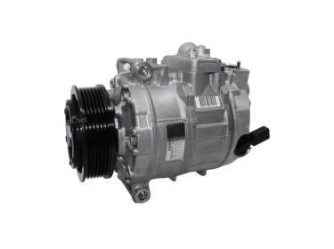 Compressor Denso Compleet TYPE : 7SEU17C | 7E0820803 | 813248 - 890173 - 920.30206 - ACP724000P - DCP32050 - DCP320500 - DCP320501 - DCP320502 - DCP320503 - DCP320504 - DCP320505 - DCP320506 - DCP320507 - DCP320508 - DCP320509