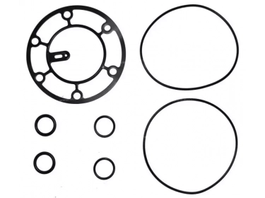 Compressor Compressor spare parts Gasket Delphi DELPHI V5 |  | 042538M - 1203109 - 12031090 - 12031091 - 12031092 - 12031093 - 12031094 - 12031095 - 12031096 - 12031097 - 12031098 - 12031099 - 24558 - JT5000