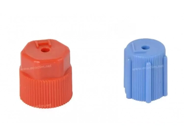 Consumable Cap and valve Cap BP R134a BLEU | 6005017710 | B02 -  40-10239-5