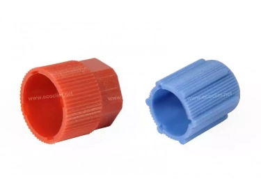 Consumable Cap and valve Cap BP R134a BLEU | 6005017710 | B02 -  40-10239-5