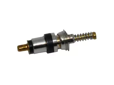 Consumívei Tampa e válvula Válvula VALVE R134a | 1250594C2 | 1216029 - 12160290 - 12160291 - 12160292 - 12160293 - 12160294 - 12160295 - 12160296 - 12160297 - 12160298 - 12160299 - 41-90377-20 